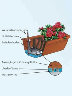 Blumenkasten Aqua Andalucia -Juliana Verkäufe aquaandalucia detail 77365 1 77388 1 1280x1280 1