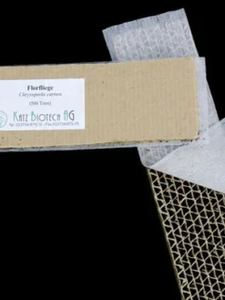 Florfliege (Art.Nr. KB4070) -Juliana Verkäufe auslieferung florfliege 80530 2 1280x1280