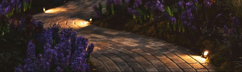 Titelseite -Juliana Verkäufe banner370