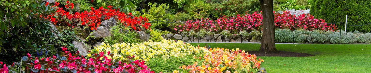 Titelseite -Juliana Verkäufe banner384