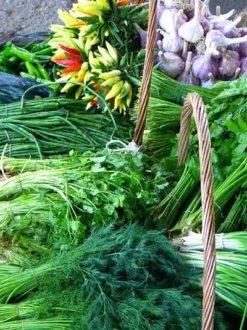 Längst Vergessene Kräuter Aus Omas Kräutergarten