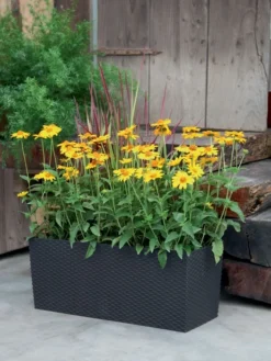 Blumenkasten Rato Case In Flechtoptik -Juliana Verkäufe blumenkasten rato square be 1280x1280