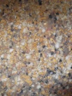 Bachlauf-Set ''Ems'' (Art.Nr. 30119) 7 Bachlauf-Set ''Ems'' (Art.Nr. 30119) -Juliana Verkäufe ems material 81131 3 1280x1280