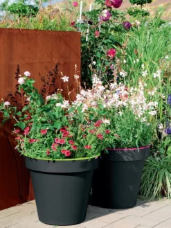 Pflanzkübel E&K Bicolor -Juliana Verkäufe eundk bicolor rund57fc9f0e47970 1280x1280