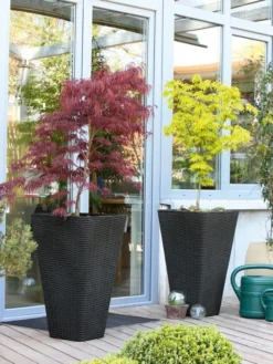 Pflanzkübel Geflecht-Dekor -Juliana Verkäufe flechtkuebel eckig hoch bep 1280x1280