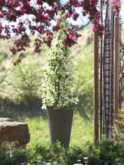 Pflanzkübel Geflecht-Dekor -Juliana Verkäufe flechtkuebel rund hoch bepf 1280x1280