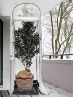 Frost-Schutzhaus SNOW (Art.Nr. V29933) -Juliana Verkäufe frost schutzhaus winter 1280x1280