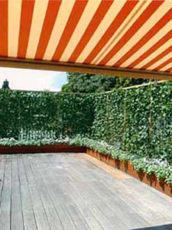 Hedera Helix 'Woerneri' - Immergrüner Efeu - XXL-Produkt -Juliana Verkäufe hecke und balkon j1 78685 4 1280x1280