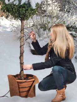 Frostschutz-Heizkabel Für Kübelpflanzen -Juliana Verkäufe heizkabel frostschutz 1280x1280