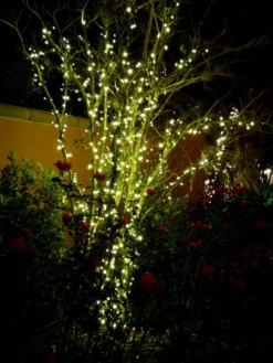 Lichterkette 'Linea' Von Garden-Lights (Art.Nr. 7510012) -Juliana Verkäufe linea 2 1280x1280