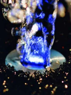 LunaLed 9s Von OASE (Art.Nr.50115) -Juliana Verkäufe lunaled6s 2 75837 2 1280x1280