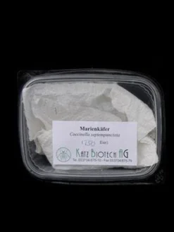 Titelseite -Juliana Verkäufe marienkaefer versand 80491 1 1280x1280