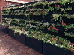 Overgrowing Mat Von Velda (Art.Nr.Vel127590) 5 Overgrowing Mat Von Velda (Art.Nr.Vel127590) -Juliana Verkäufe overgrowing mat beispiel 1280x1280