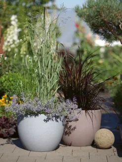 Pflanzkübel Rimini -Juliana Verkäufe pflanzkuebel rimini stimmun 1280x1280