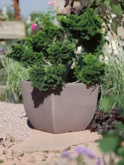 Pflanztopf Ravenna -Juliana Verkäufe pflanztopf ravenna stimmung 1280x1280