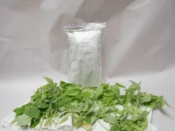 PhytoAmbly-Mix - Raubmilben-Mischung (Art.Nr. KB2038) -Juliana Verkäufe phyto ambly mix 1280x1280