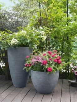 Pflanzkübel Rund Rillentopf -Juliana Verkäufe rillentopf rund bepflanzt 1280x1280