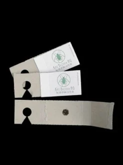 Schlupfwespe (Art.Nr. KB3056) 6 Schlupfwespe (Art.Nr. KB3056) -Juliana Verkäufe schlupfwespe versand verpac 80549 2 1280x1280