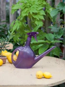 Sprüherkanne SPRAYCAN -Juliana Verkäufe spraycan stimmung 1280x1280