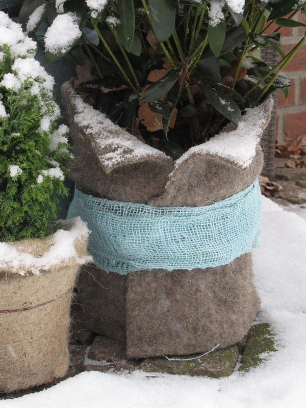 Winterschutz Schafwollmatte Aus Reiner Schafwolle 5 Winterschutz Schafwollmatte Aus Reiner Schafwolle – Bild 5