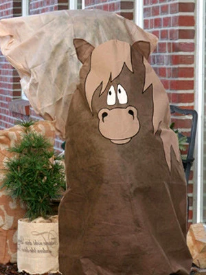 Winterschutz-Vlieshaube Pferd "Hotte" (Art.Nr. Vi27927) 2 Winterschutz-Vlieshaube Pferd "Hotte" (Art.Nr. Vi27927) – Bild 2